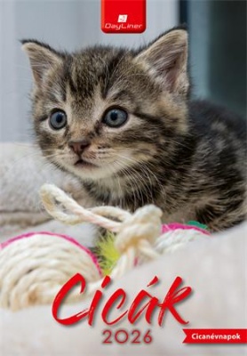 Naptár, fali, DAYLINER, "Cicák"